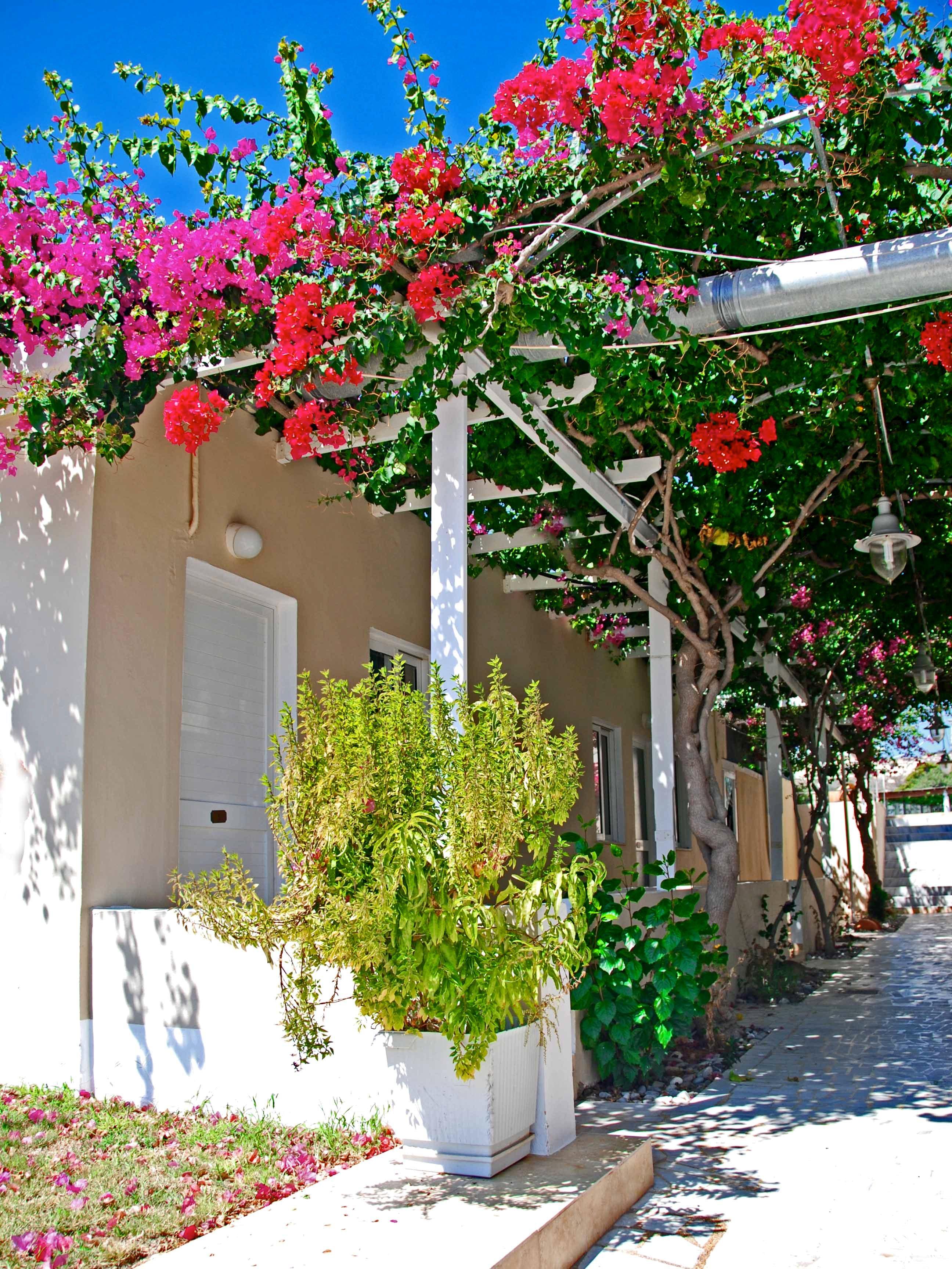 Sacallis Inn Beach Hotel Kéfalos Extérieur photo